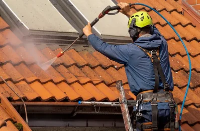 Démoussage et hydrofuge de toiture à Villegongis